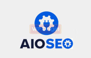 AIOSEO Elite License