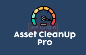 Asset CleanUp Pro License