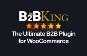 Lifetime B2BKing Pro License – B2B+B2C