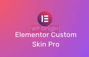 Elementor Custom Skin Pro License