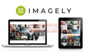 NextGEN Gallery Pro License NextGEN Gallery Pro License