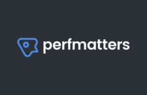 Perfmatters Pro License